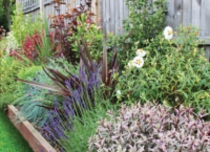 Garden on a Roll Mediterranean Plant Border - 600mm x 10m
