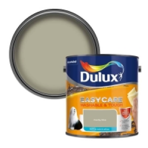 Dulux Easycare Washable & Tough Overtly Olive Matt Paint - 2
