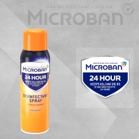 InExcess  Microban 24 Hour Disinfectant Spray for Hard Surfaces Citrus