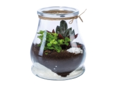 Mini Garden Terrarium £5.00