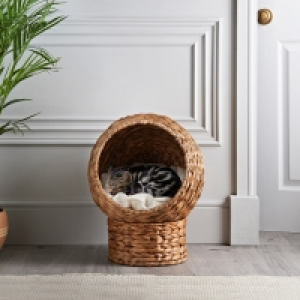 Rattan Effect Pet House