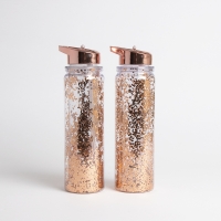 HomeBargains  2 x 500ml Glitter Water Bottles - Copper