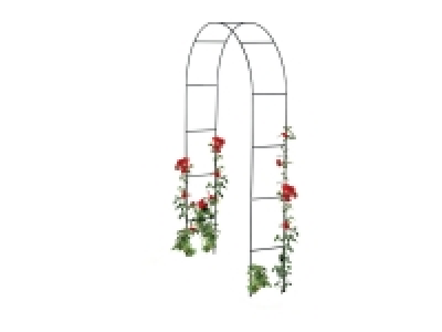 Livarno Home Rose Arch / Garden Obelisk £9.99