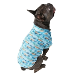 Summer Dog Outfit - Large - Blue Hawaian
