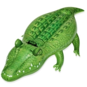 RobertDyas  Bestway Crocodile Ride-on