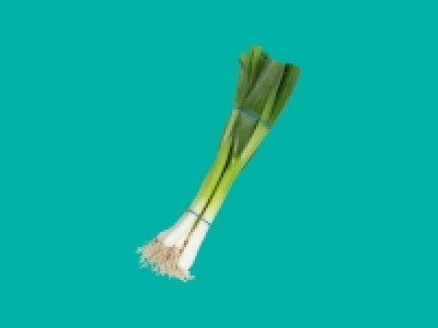 Spring Onions £0.35