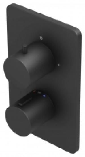 Hadleigh Concealed 2 Outlet Round Thermostatic Shower Valve