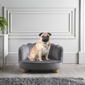 Perfect Paws Pet Sofa