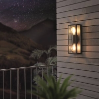 Homebase Zinc Plated Steel And Glass EGLO Alamonte 1 Exterior Double Wall Light