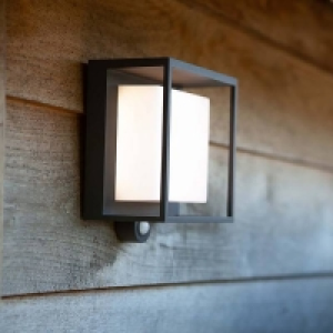 Heavy Duty Aluminium Lutec Curtis Solar LED Outdoor Wall Light with PIR Motion Se