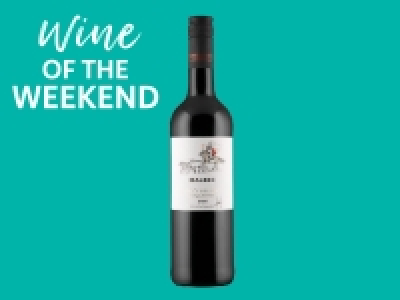 Argentinian Malbec Uco Valley £4.49