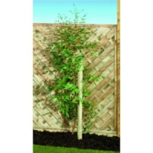 Wickes  Wickes Timber Garden Tree Stake - 50mm x 2.4m