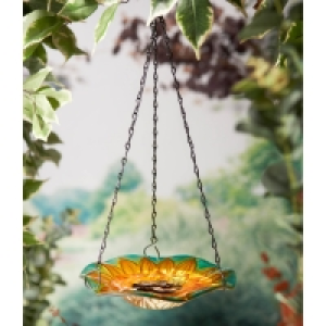 Sunflower Glass Feeder