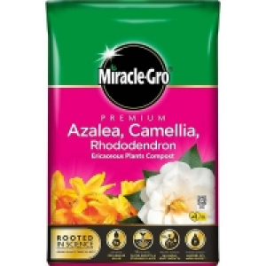 Miracle Gro Premium Azalea, Camellia & Rhododendron Ericaceo