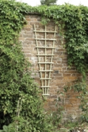 Forest Garden Traditional Fan Trellis - 1800 x 600mm - Pack