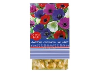 Lidl  Premium Bulbs