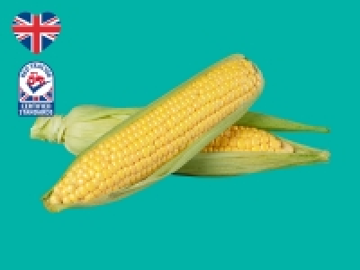 British Corn on the Cob
