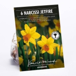 Narcissus Jetfire £4.00