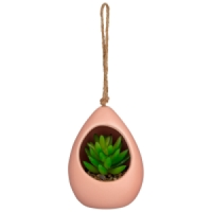 Coloured Hanging Succulent - Green
