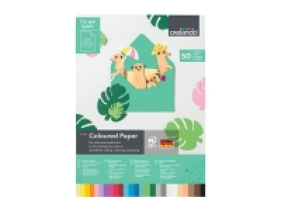 Lidl  Crelando Coloured Card