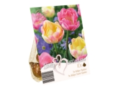 Colourful Bulbs