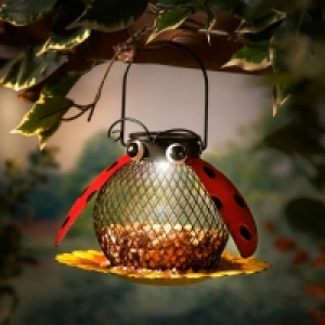 Solar Peanut Bird Feeder - Ladybird