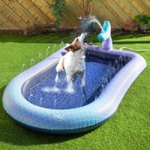 Pet Splash Pool £15.00