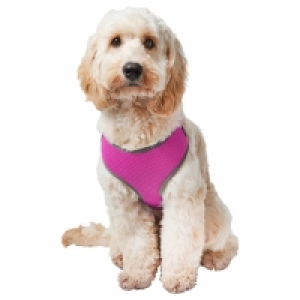 Pet Cooling Harness - Pink - Large