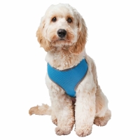 BMStores  Pet Cooling Harness - Blue - Medium