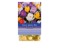 Lidl  Spring Flowering Bulbs