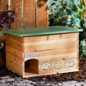 Hedgehog Hut