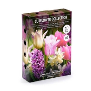 Cutflower Collection £12.00