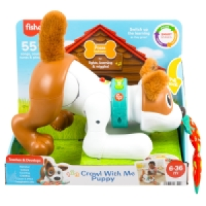 123 Crawl After Me Puppy