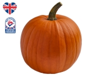 British Large Pumpkin