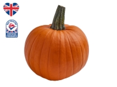 British Medium Pumpkin