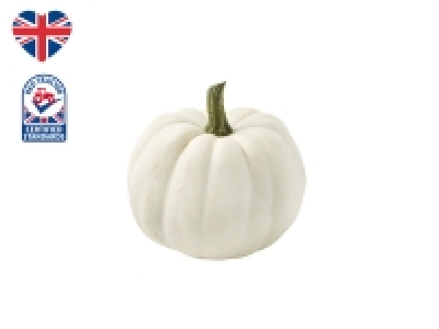 British Ghost Munchkin Pumpkin