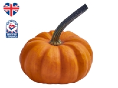 Lidl  British Munchkin Pumpkin