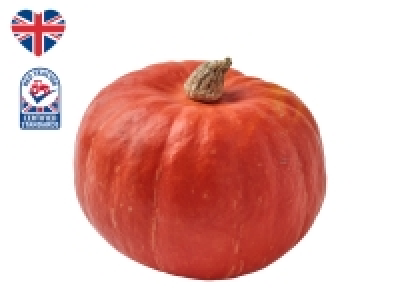 British Seasonal Squash