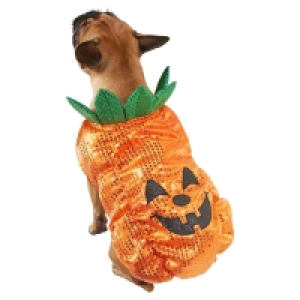 Winter Paws Sequin Pumpkin Outfit - Extra Large