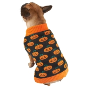 Halloween Dog Outfit - XL - Pumpkins