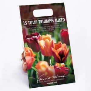 Tulip triumph mixed Jimmy, Slawa & Jan Reus £3.00