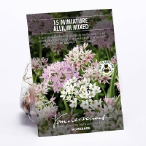 Allium Mixed £2.00