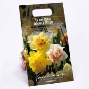 Daffodil double Mixed £3.00