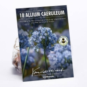 Allium Caeruleum £2.00