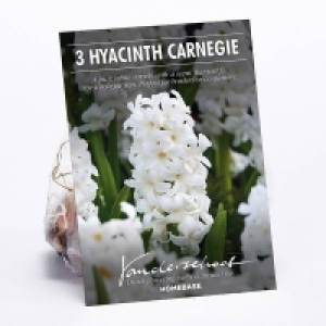 Hyacinth Carnegie £2.00