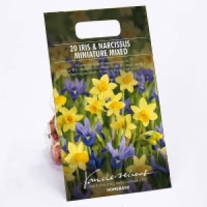 Dutch Iris Mixed £3.00