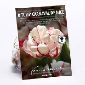 Tulip Carnaval de Nice £2.00