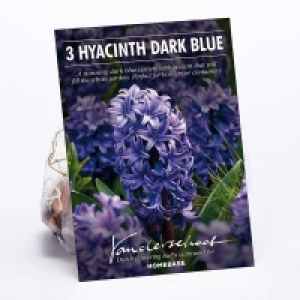 Hyacinth Dark Blue £2.00