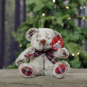 Christmas Bear Plush £6.99