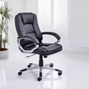 Avesta Executive Office Chair